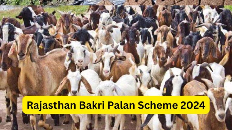 Rajasthan Bakri Palan Scheme 2024